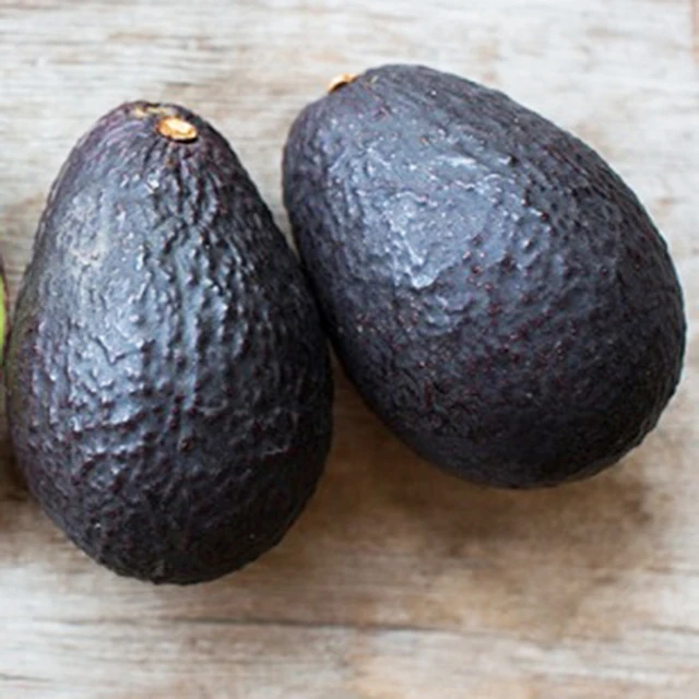SWEET - HIGH QUALITY AVOCADO FOR EATING