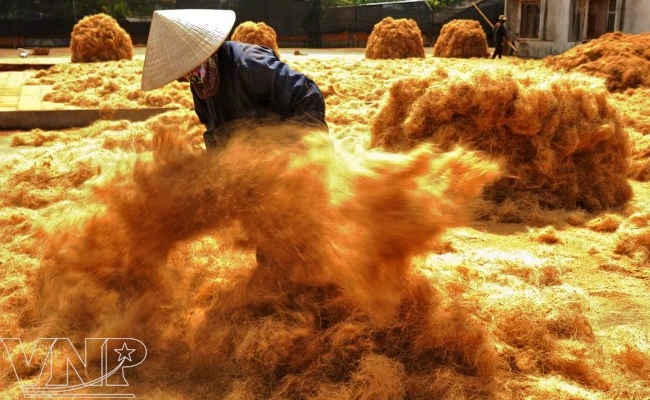 COCONUT COIR FIBER/ COCONUT SHELL/ COCONUT HUSK WITH CHEAP PRICE