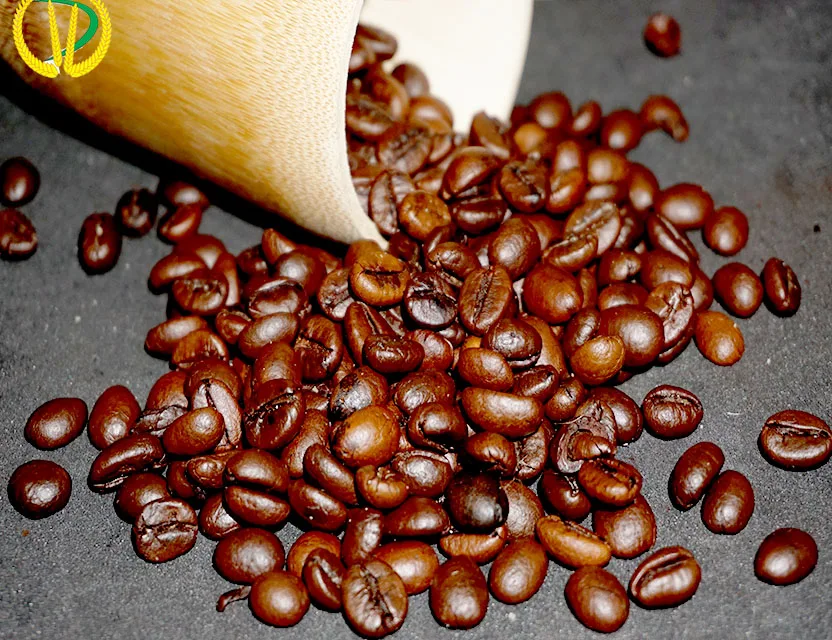 Roasted Robusta coffee beans grade