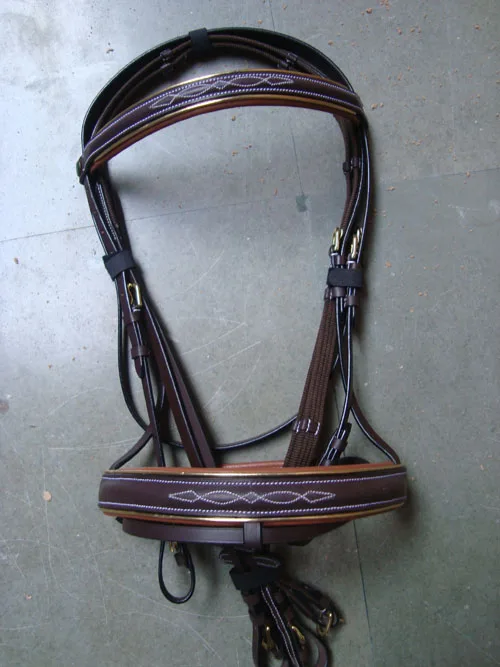
Leather Bridle 