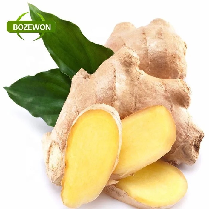 hot sell water soluble Rhodiola Rosea Extract powder with ISO