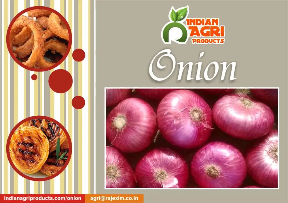 Red Big Onion from India