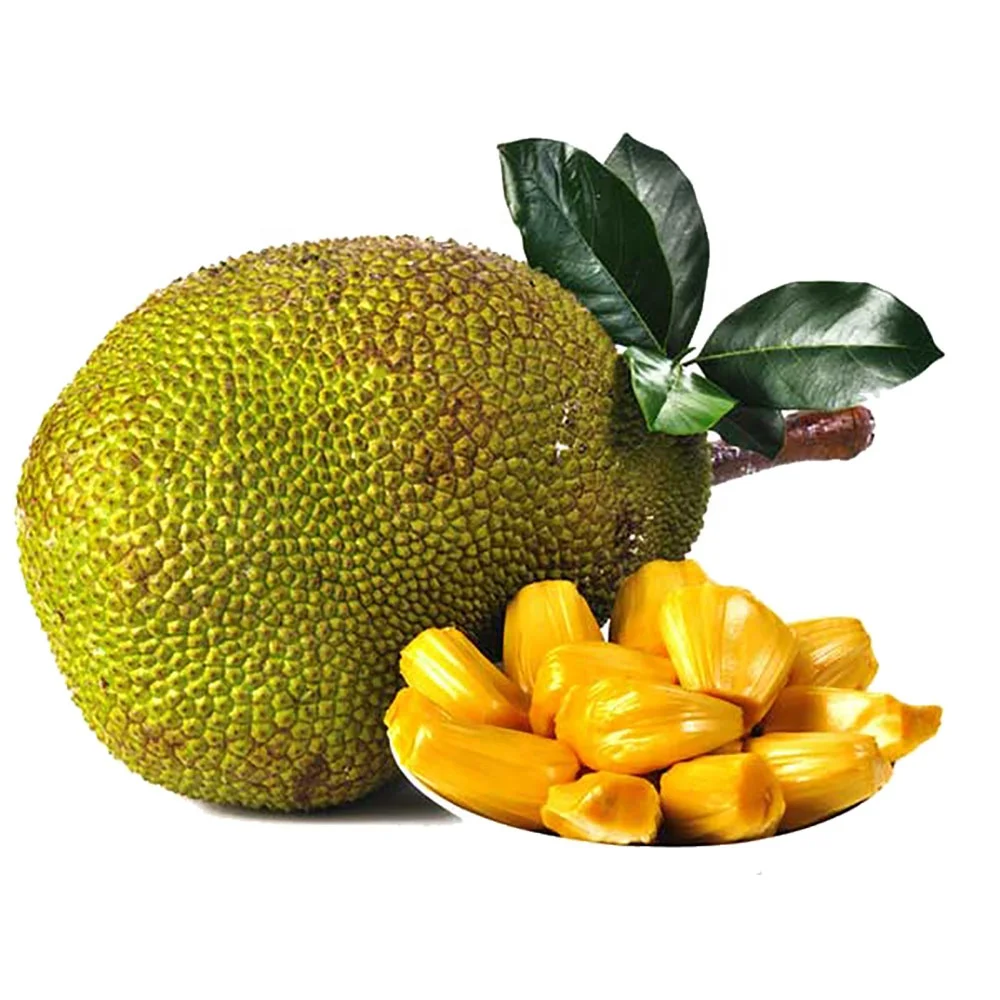 FROZEN JACKFRUIT HALVES PEELED WITH/ WITHOUT SEED/ STRIPS/ DICE ORIGIN VIETNAM TO EXPORT / MITADES DE JACA CONGELADAS PELADAS