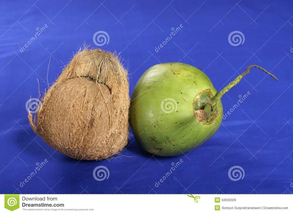 GREEN COCONUT hight quality Whatsapp +84-845-639-639