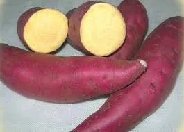 Вьетнамские молочные овощи, продукт IQF, замороженный сладкий картофель, полоски/ломтики, хорошее качество, конкурентоспособная цена