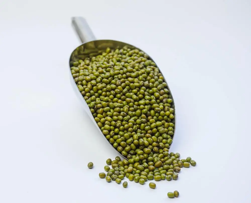 GREEN MUNG BEANS FROM NIK-MAY EXPORTS LLP INDIA