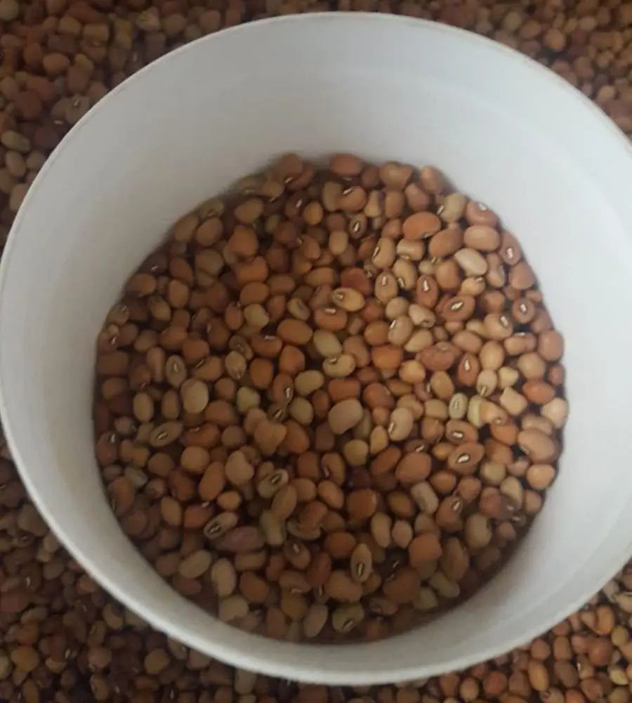 
Pink Cowpeas 