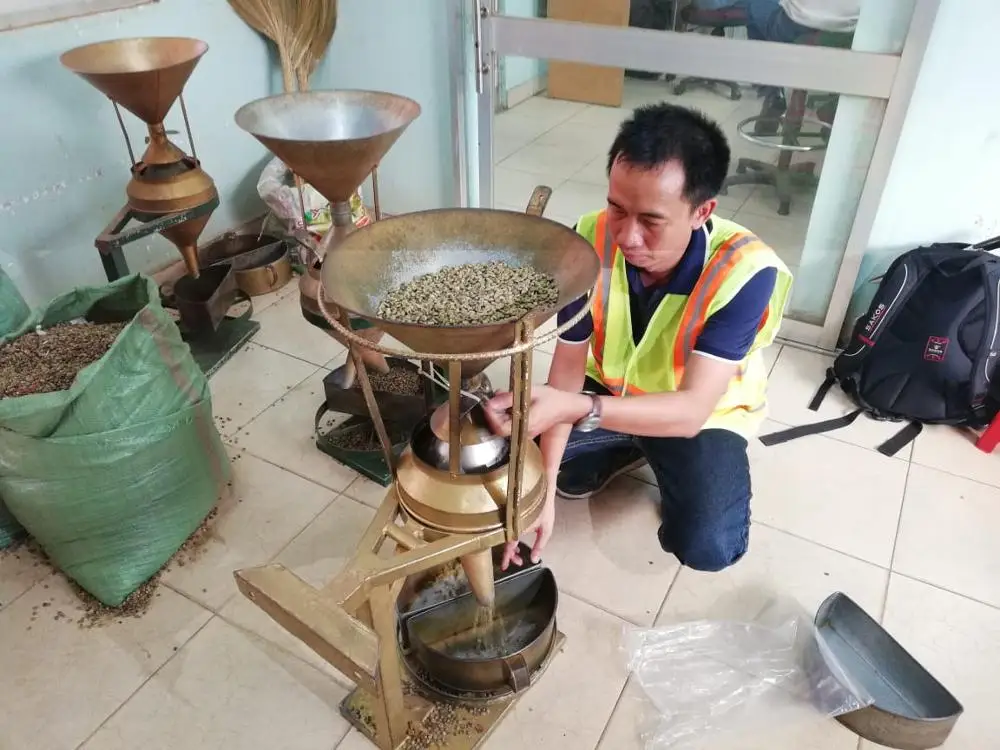 Зеленые кофейные зерна Robusta