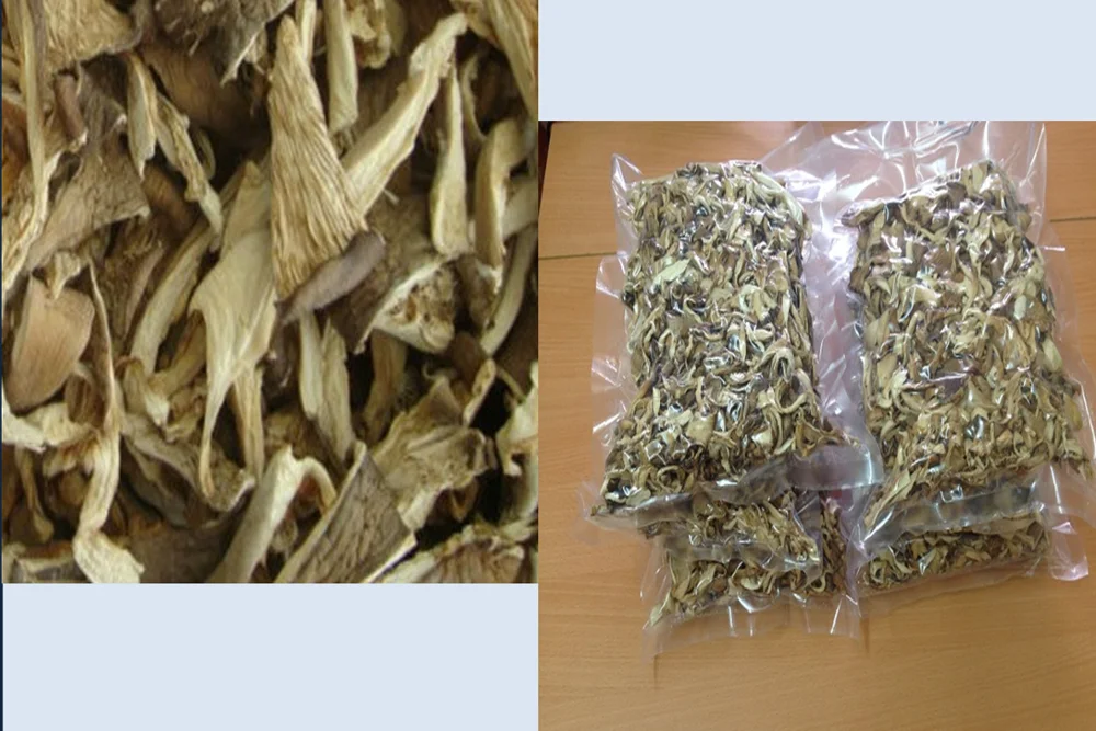 
Organic Dried Oyster mushroom 100% Natural Made In Vietnam 