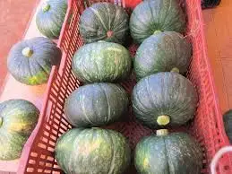 Healthy fresh pumpkin/ organic fresh pumpkin/ cheapest price  pumpkin powder