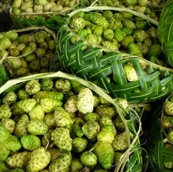 Ноний порошок/Моринда Чистая высокое качество/Лучшая цена