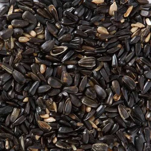 Sunflower Seeds / Sunflower Seed Hulled / Sunflower Kernel / Sunflower seeds for oil