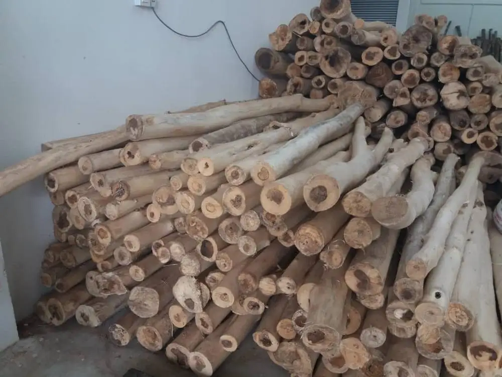 
Skin Removed High Quality Pure Agar_wood Wood Logs Malaysia Made 