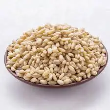 Indian First Quality Milling Wheat High Quality