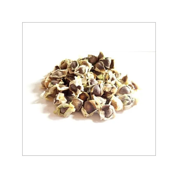 Professional Moringa Seed supplier