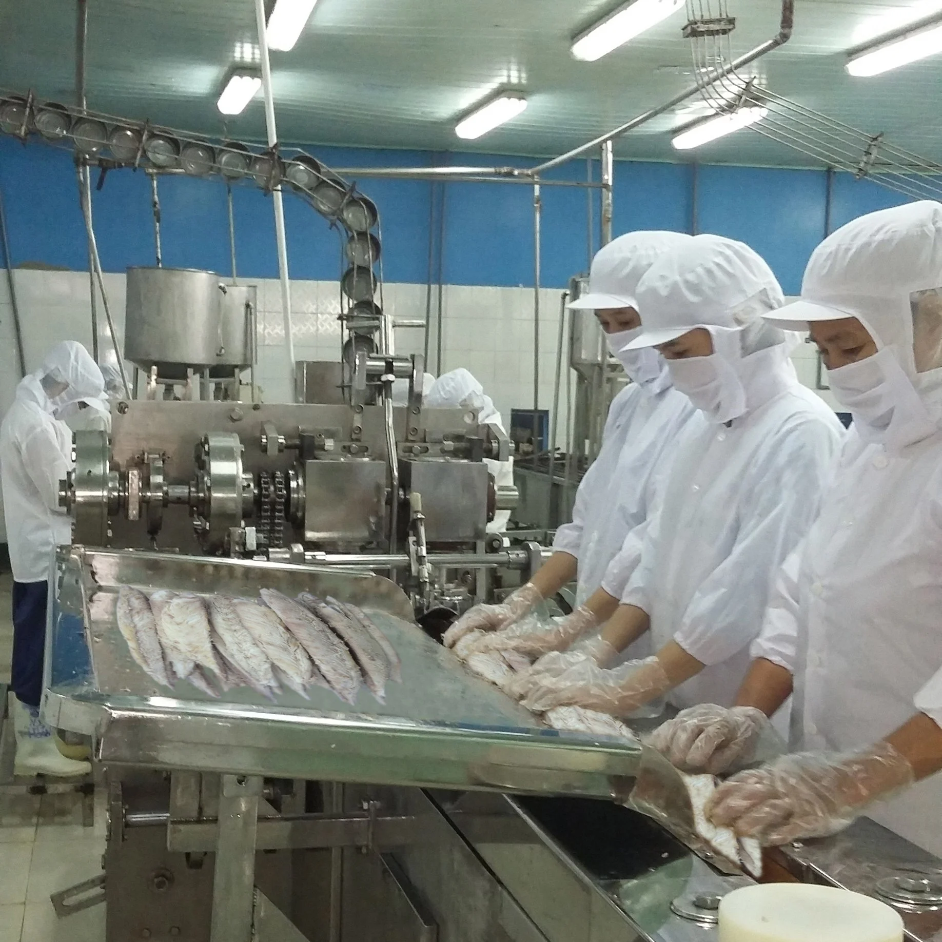 Canned Light Meat Tuna in Vegetable Oil 140g