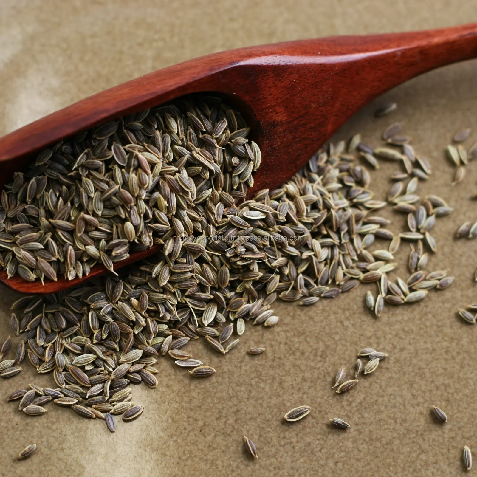 
FRESH DILL SEEDS ORIGIN INDIA FROM NIK-MAY EXPORTS 