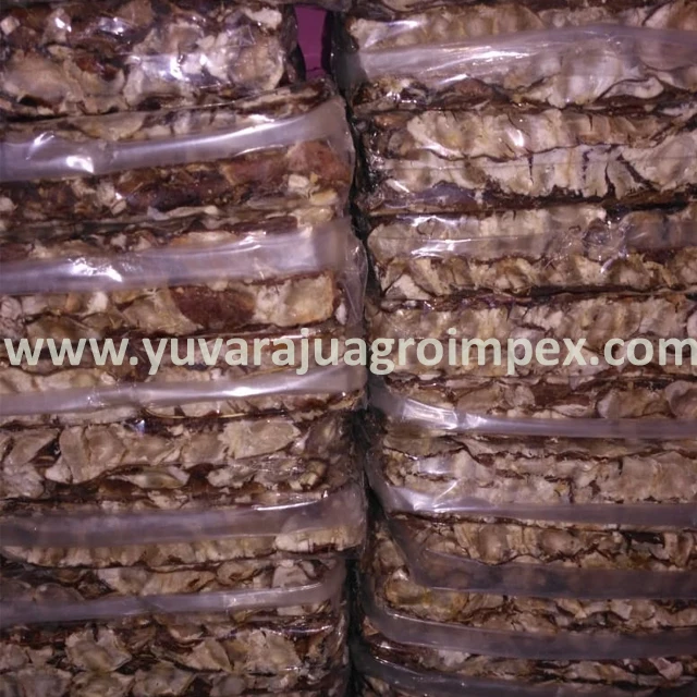 Бессаженные экспортеры тамаринда из Индии в Мексику/Доминиканскую Республику/Объединенные Арабские Эмираты