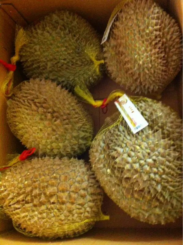 TOP EXPORT PRODUCT! GOOD DURIAN FRUIT WITH HIGH QUALITY AND BEST PRICE