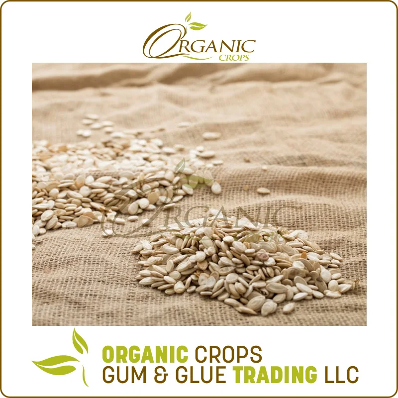 
Best Quality Watermelon Seeds at Least Price 