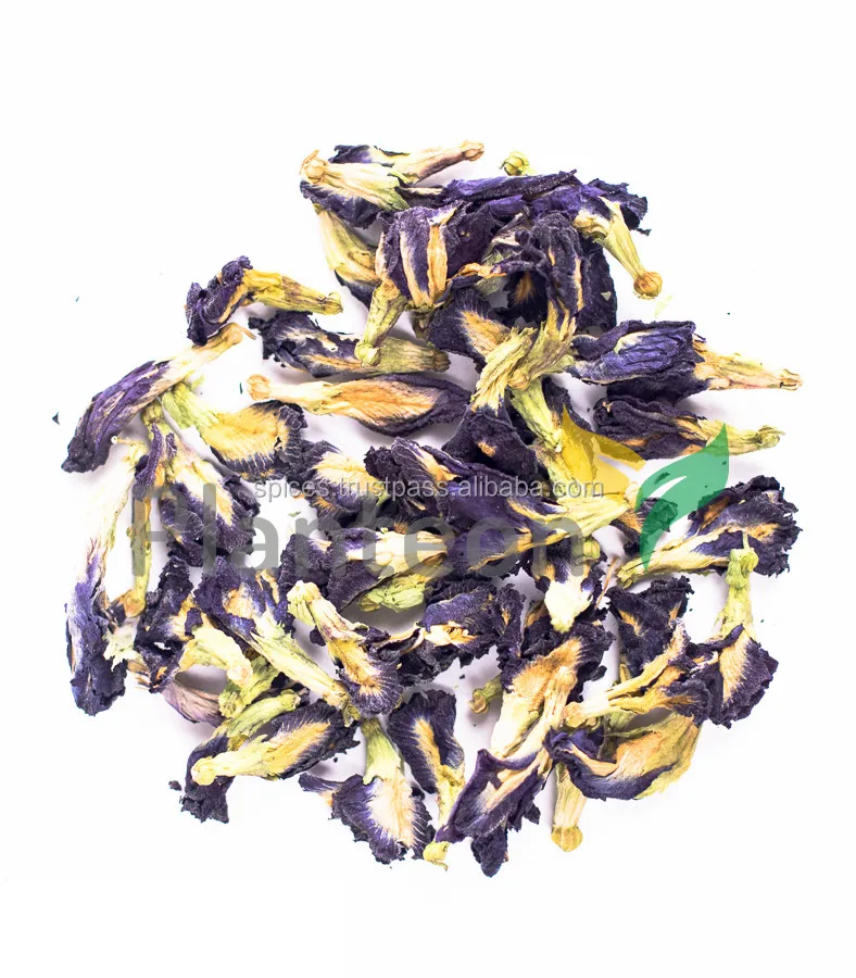 Butterfly Pea flower - Clitoria ternatea