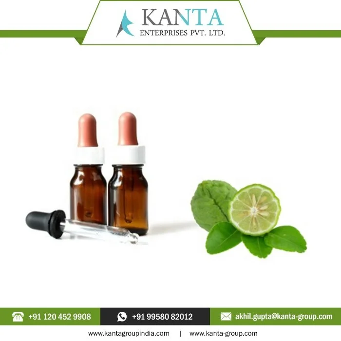 OEM Supply 100% Natural and Organic Aromatherapy Grade Bergamot Essential Oil Used for Skin Care at Factory Price