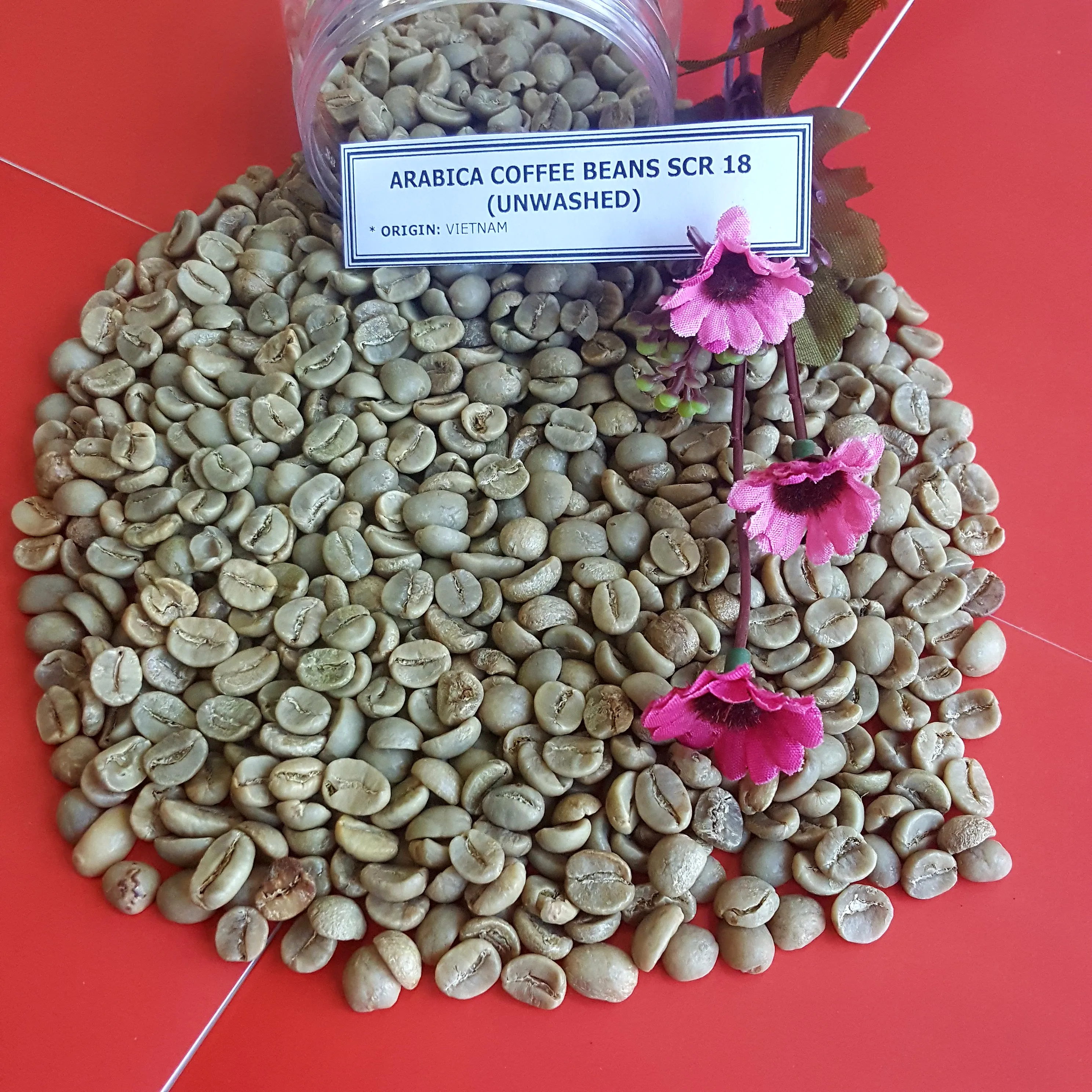 Высококачественный кофе во Вьетнаме/КОФЕ ROBUSTA SCR 18 немытый