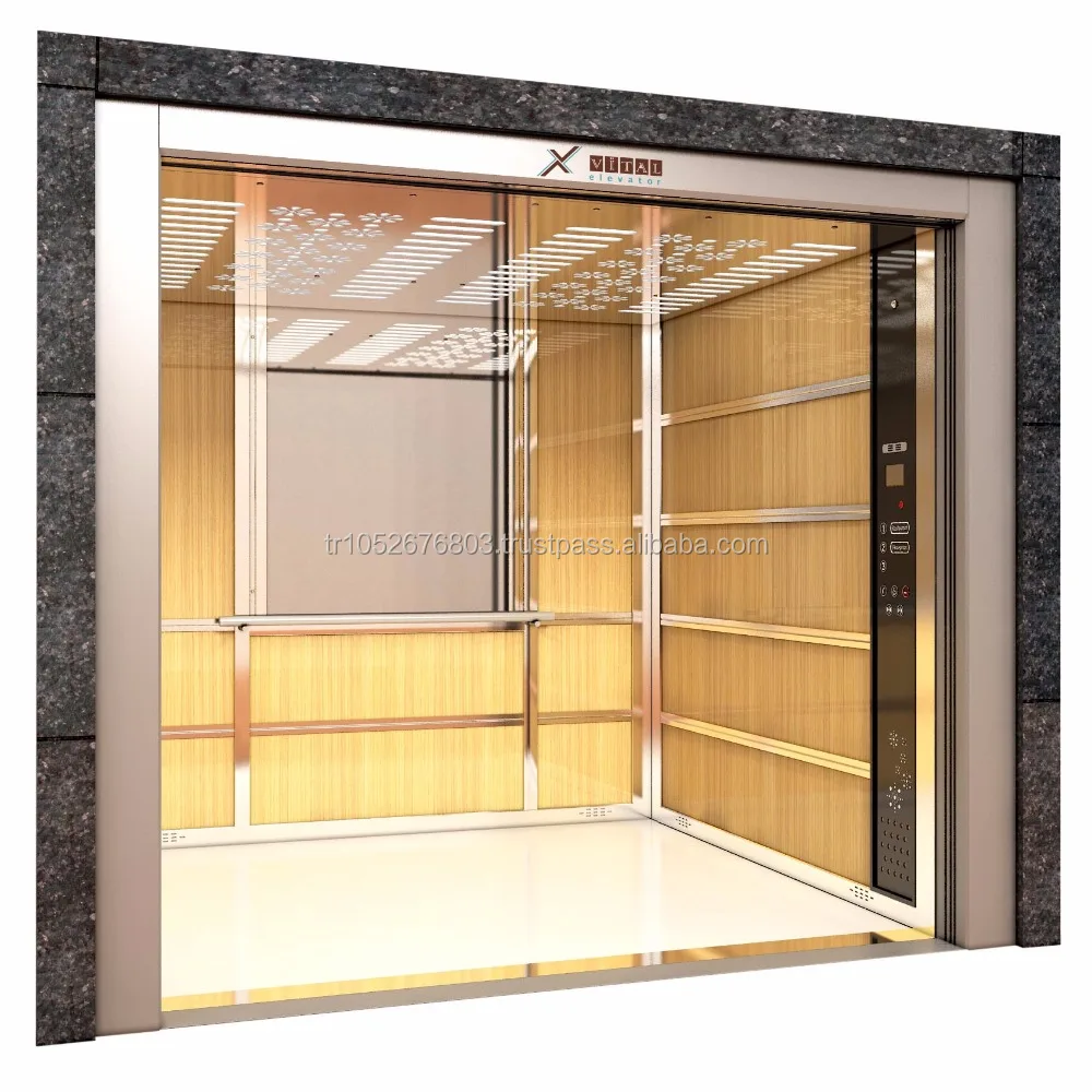 Elevator Door Elevator Parts Small Home Lift Load Lift Hospital Lift Vital Elevator Small Cabin Passenger Ascenseur 2 Years VTO