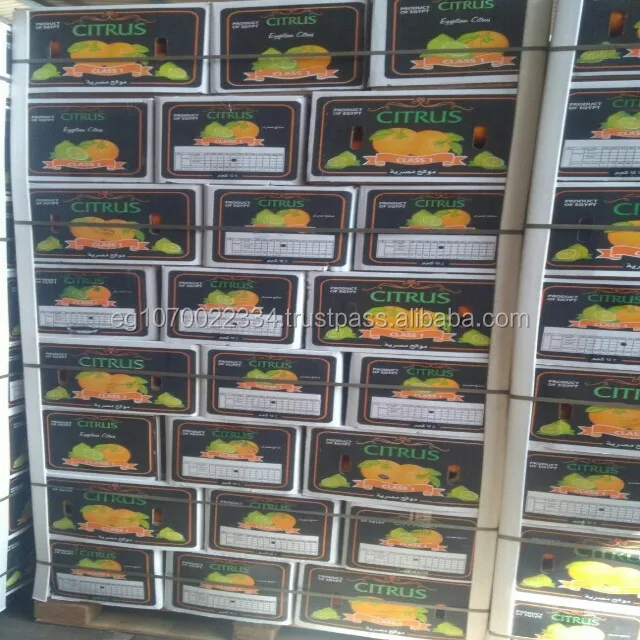 Fresh orange - Low Price - Finest quality - Egyptian origin