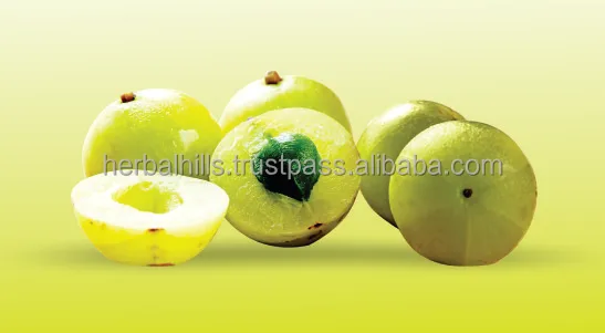 
Herbal Amla or Amlaki (Emblica officinalis) Powder and Extract blend - 60 capsule 425mg 