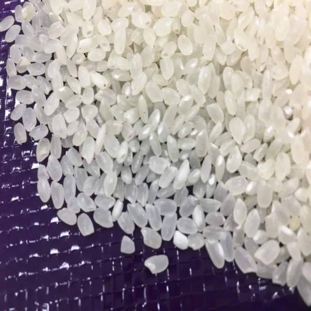 VIETNAM 5% BROKEN CALROSE RICE AT LOWEST PRICE