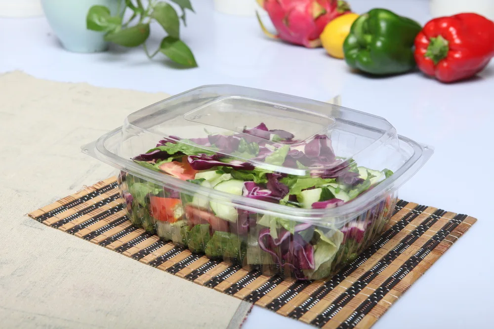 Disposable Packaging Fruit Strawberry Tomato Punnet Plastic Salad Container Box