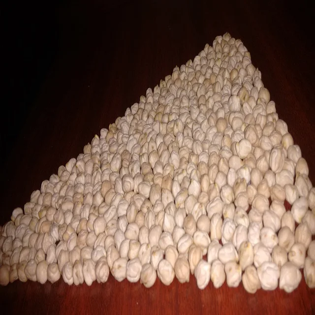  Dry Indian White Chick Peas High Protein / Kabuli For Bulk Wholesale