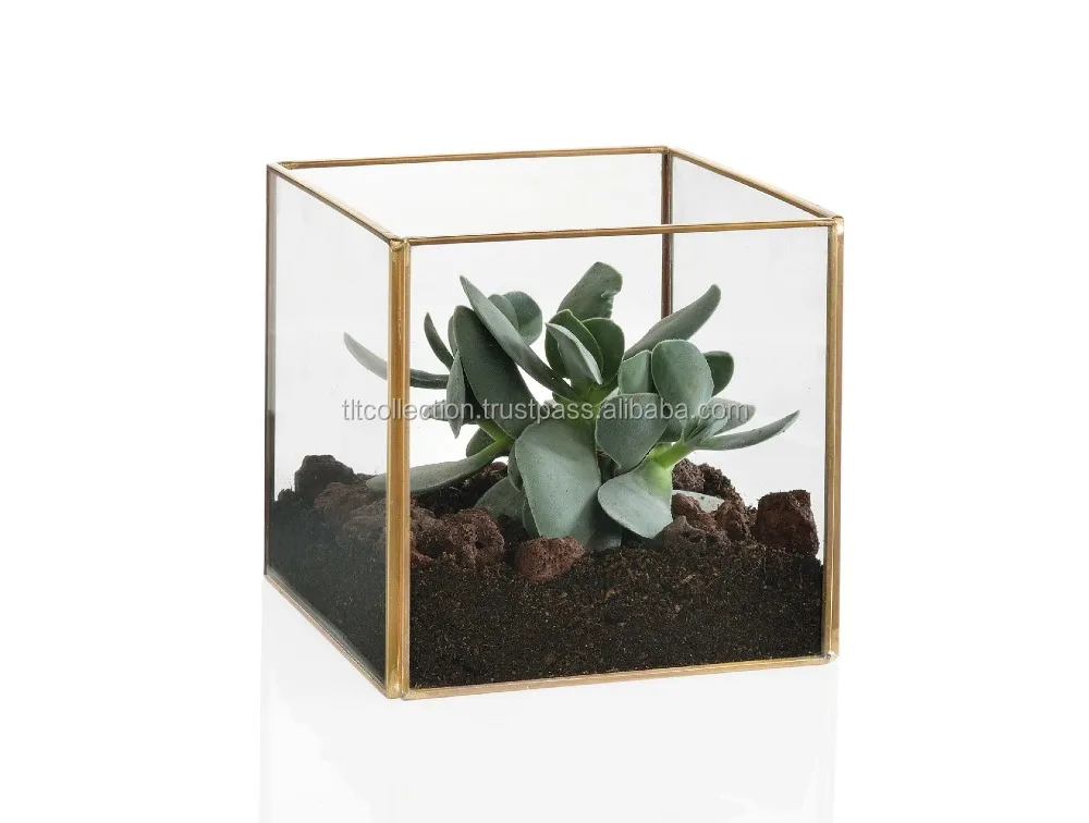 Glass gold copper geometric terrarium