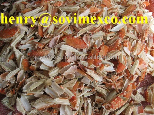 
DRIED SHRIMP SHELL POWDER 