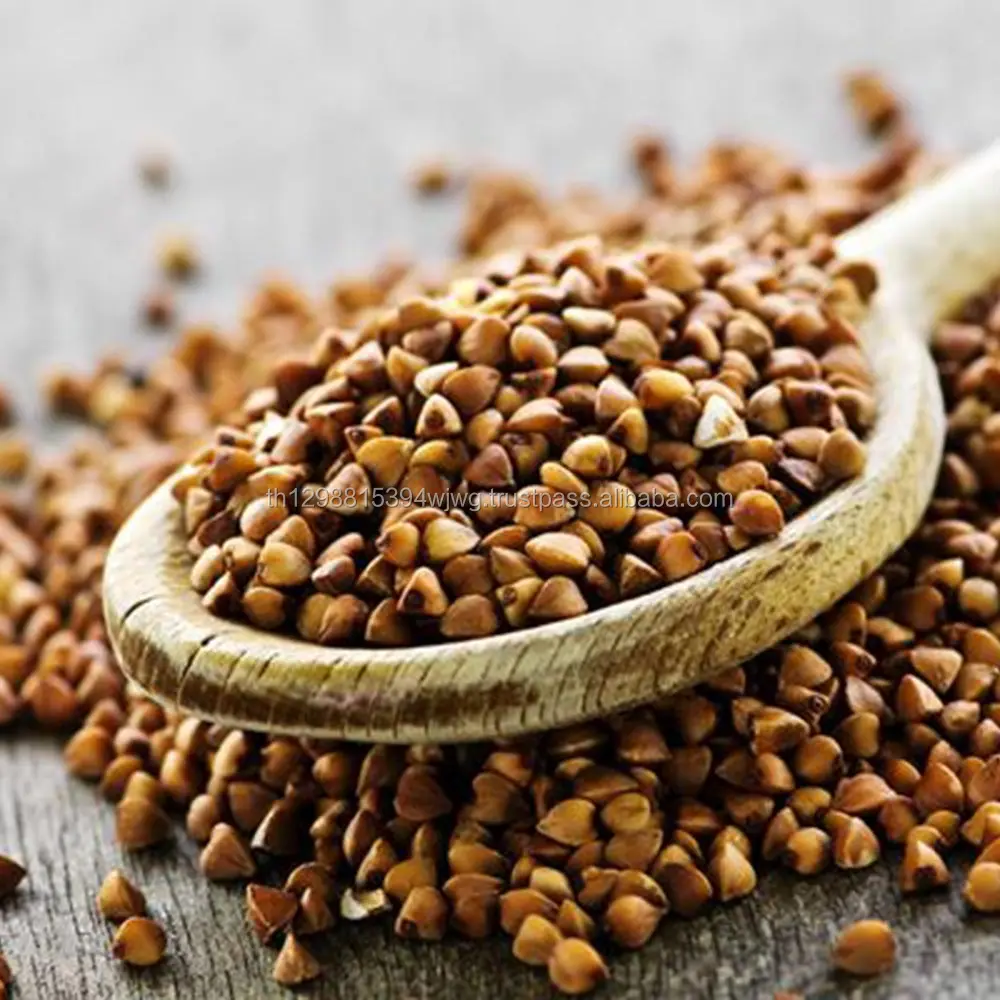 Хороший новый урожай органической гречихи фабрики