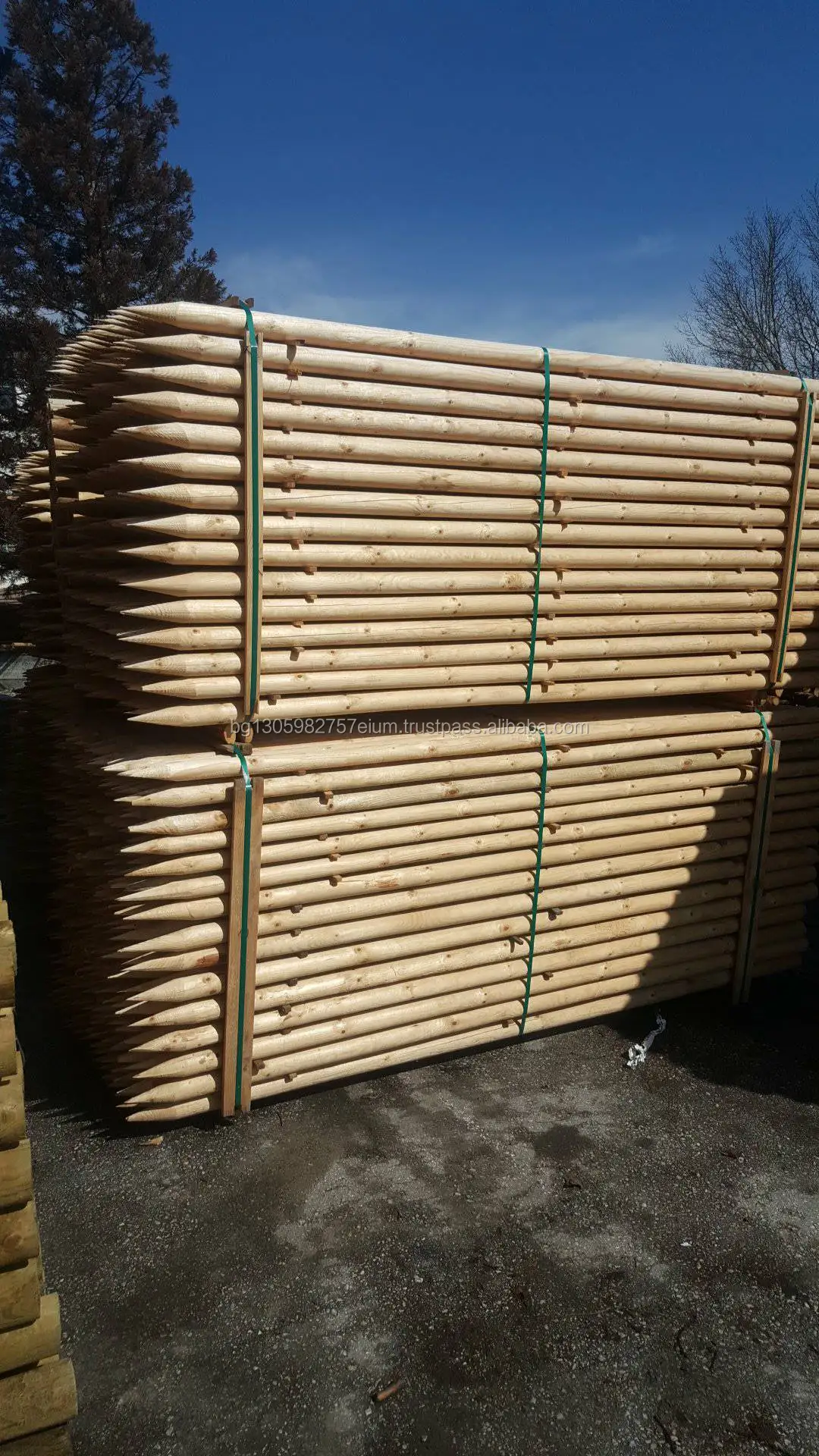 Sharp Point Wood Utility Poles coniferous, lathed and impregnated by high pressure vacuum