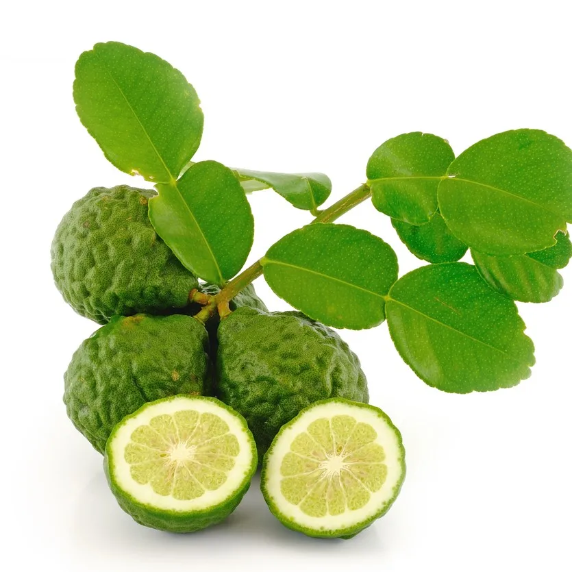 Dried Kaffir Lime Leaves 100% Natural Product of Thailand