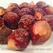 Organic Soap Nuts Whole