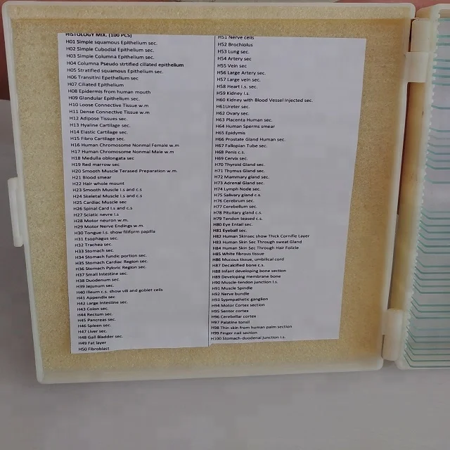 Microscope Histology Human and Medical Prepared Histology Slides Set Biology Histology Educational Microscope Slides