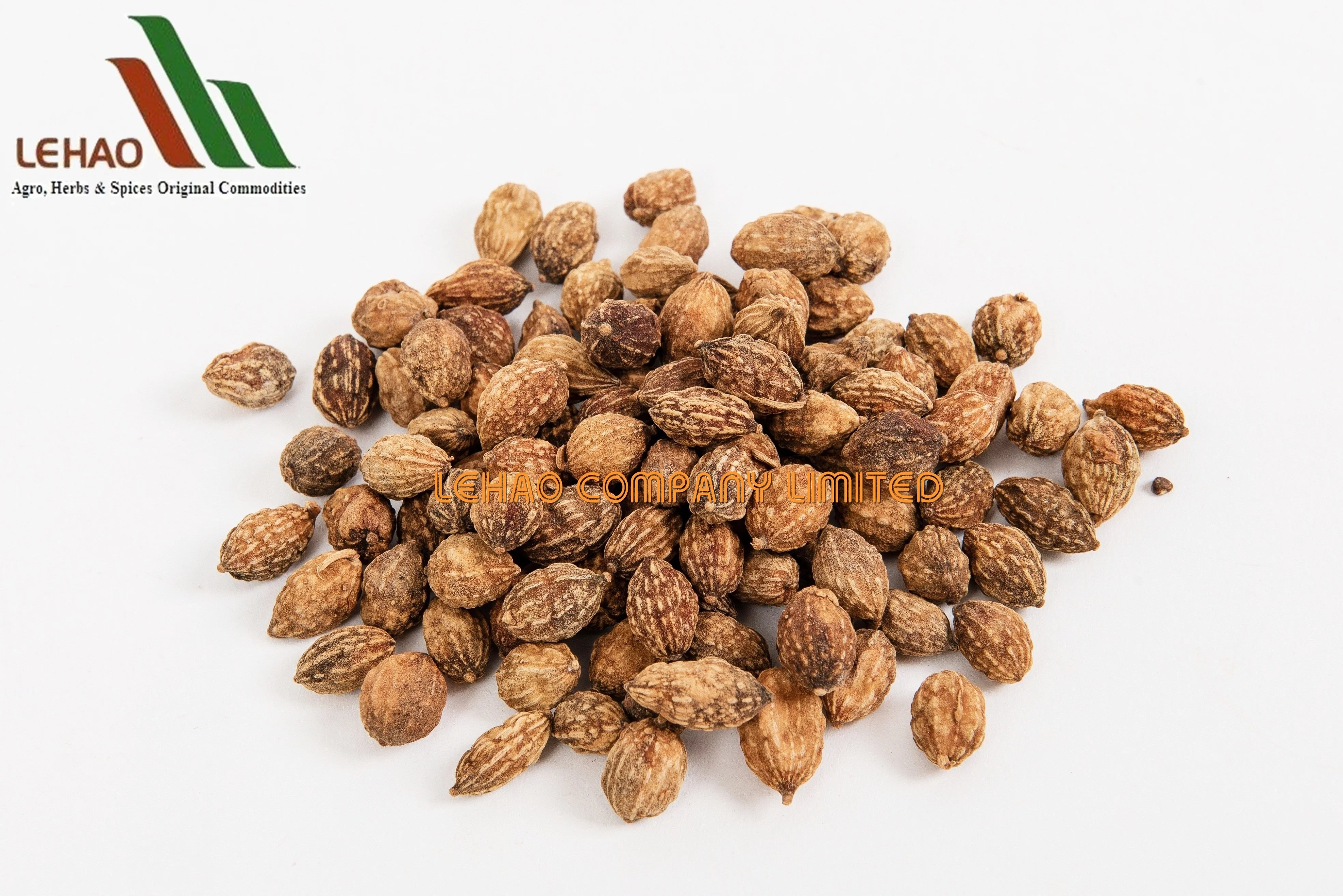 
BITTER CARDAMOM IS PROVIDED BY LEHAO CO., LTD (MR. TUYEN - WHATSAPP/VIBER/KAKAOTALK/WECHAT 0084916275888) 