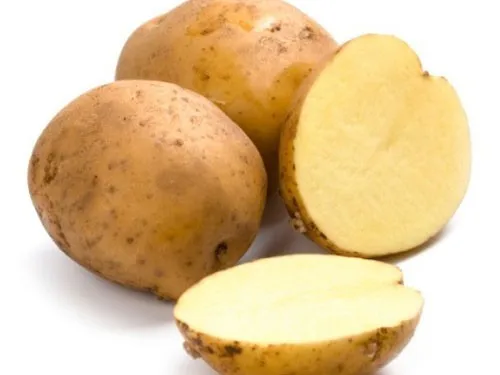 Fresh Potato Amazing Competitive Price
