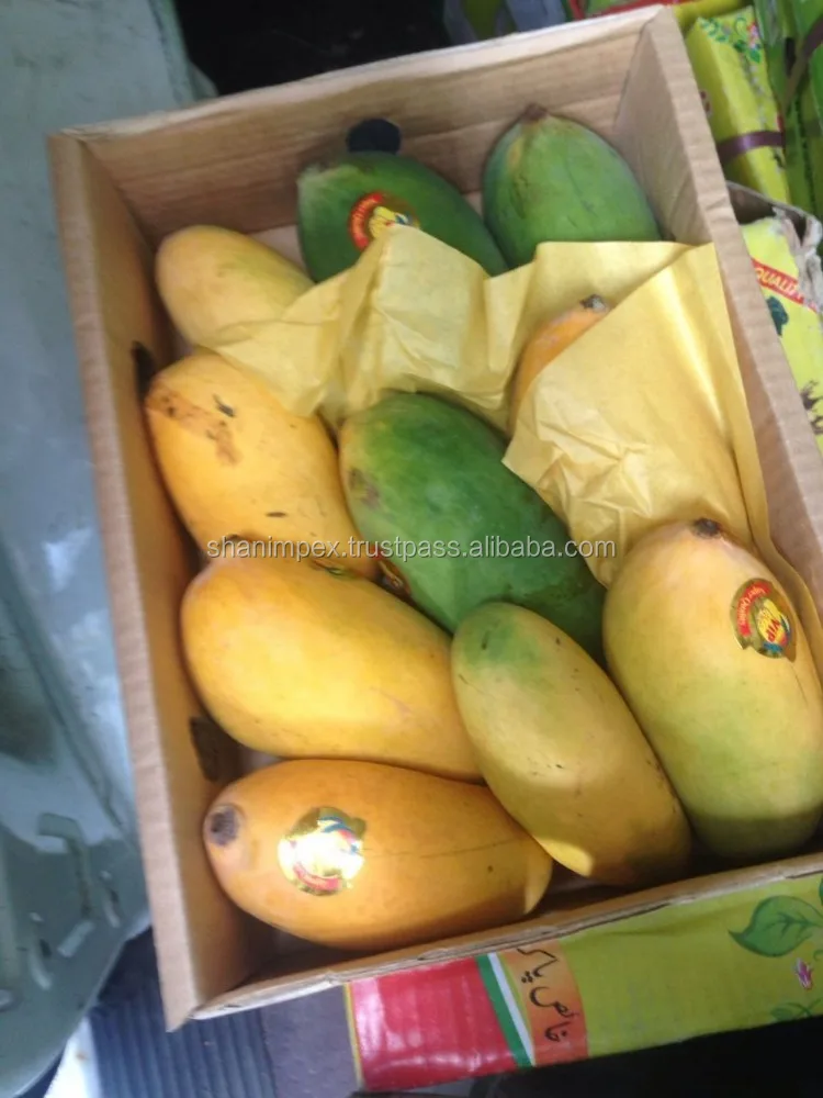 
Pakistani Mango Fresh Sindhri Chaunsa 