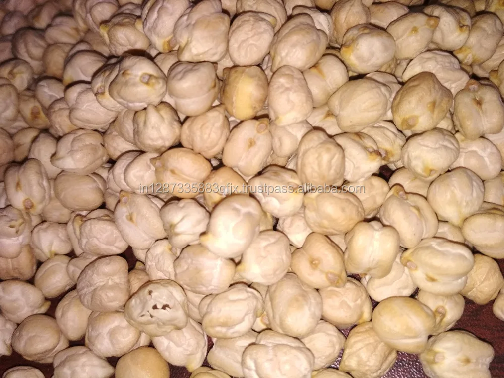  Dry Indian White Chick Peas High Protein / Kabuli For Bulk Wholesale