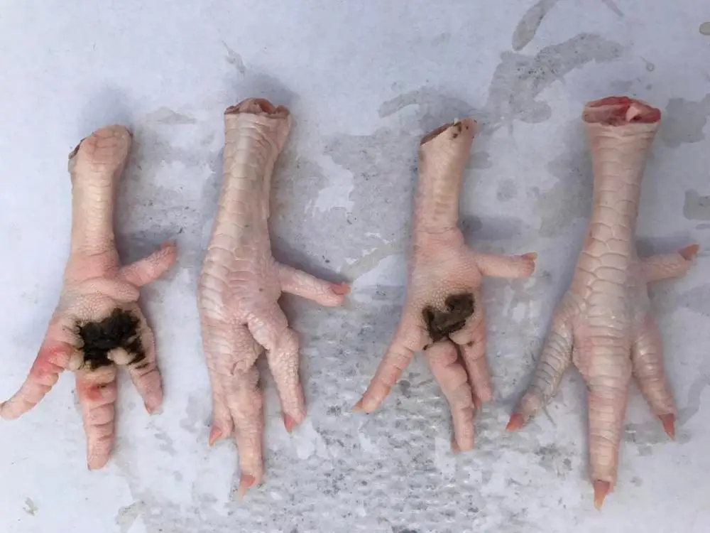 Замороженные куриные ножки класса C из Украины