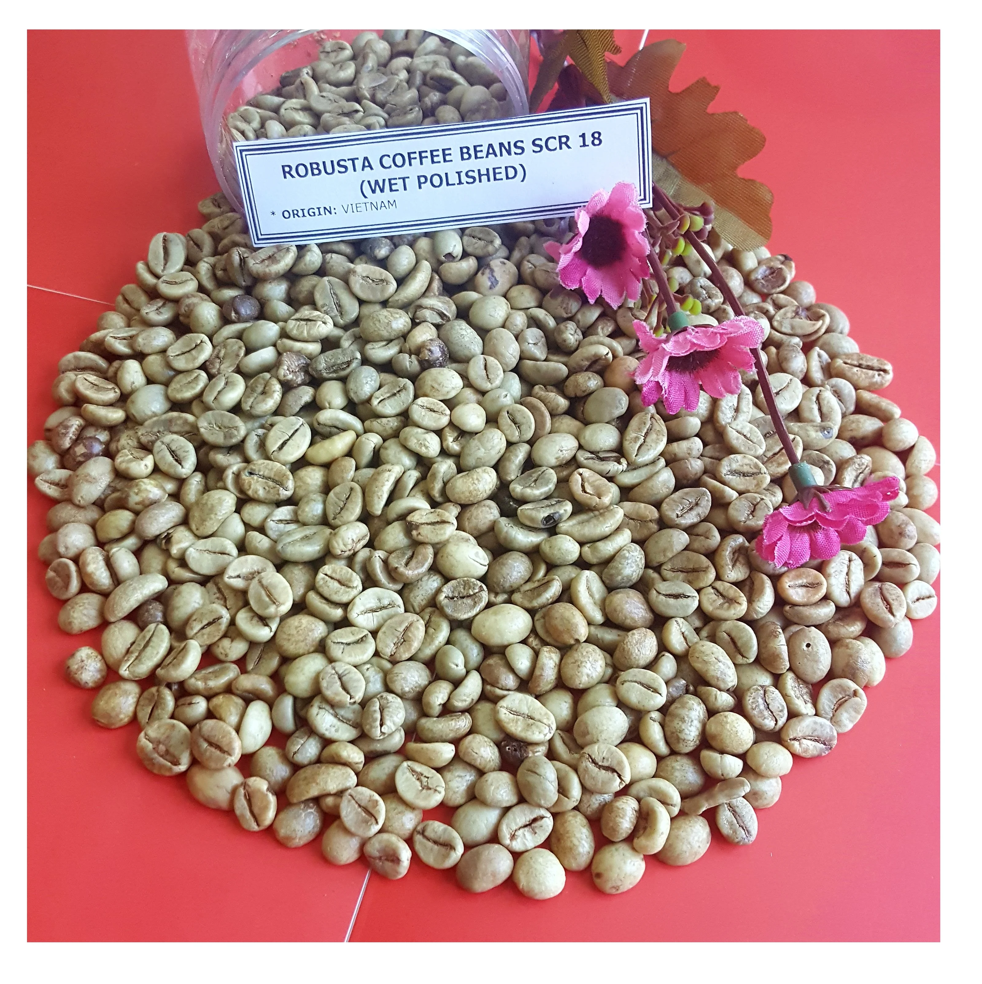 
VIETNAM HIGH QUALITY ARABICA GREEN COFFEE BEANS GOOD PRICE SCR13/ SCR16/ SCR18( +84989322607 whatsapp) 