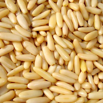 High quality  pine nuts Kernel For Sale