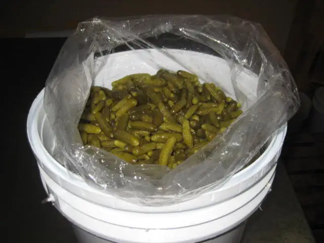 GHERKINS IN PLASTIC BUCKETS