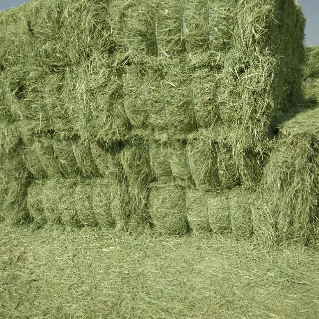 Сено из родовой травы
