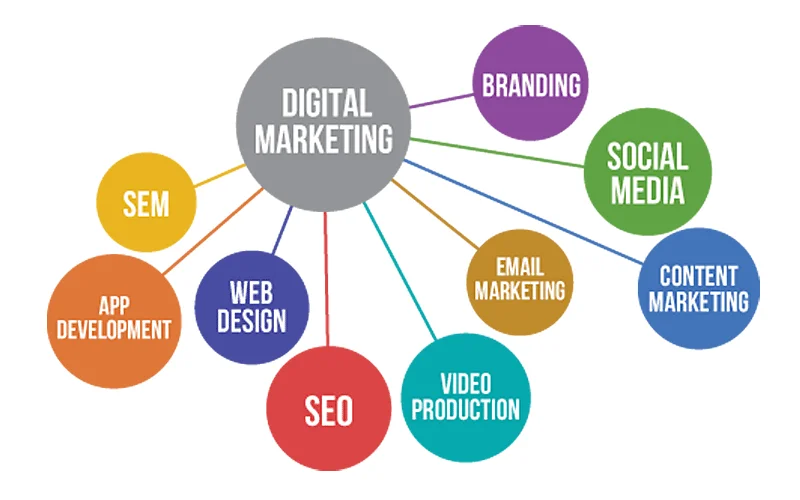 
SEO and Digital Marketing SEO Website Promoting Services From China 